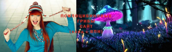 прущая мука Алзамай