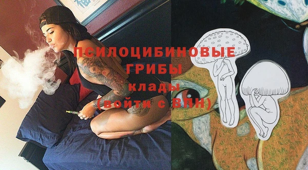 прущая мука Алзамай