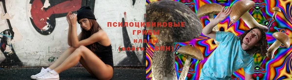 прущая мука Алзамай