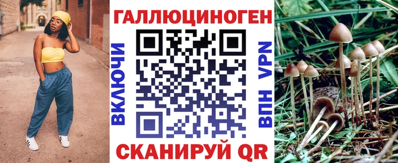 Псилоцибиновые грибы MAGIC MUSHROOMS  где купить наркоту  Куртамыш 